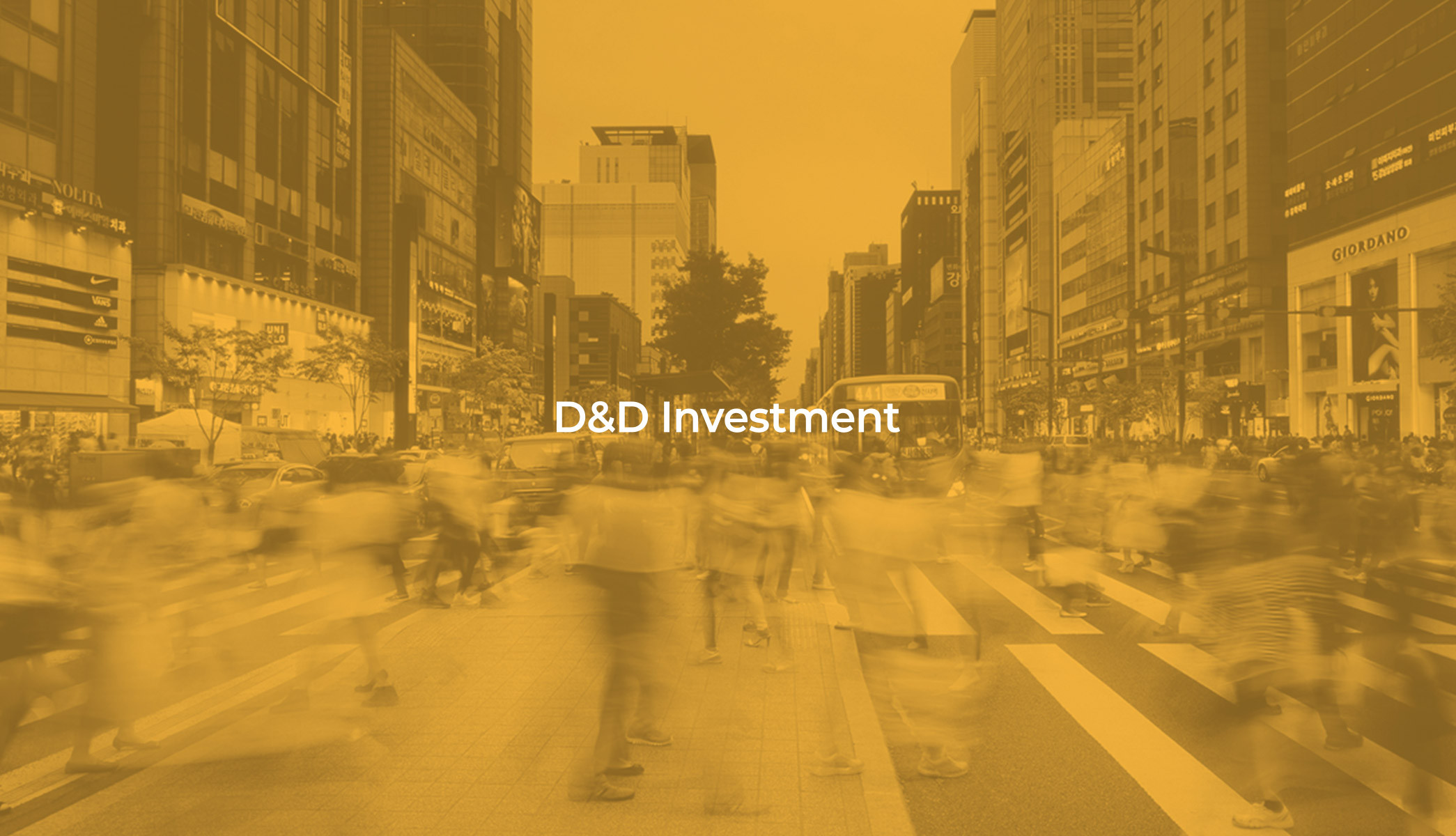 D&D INVESTMENT WEB